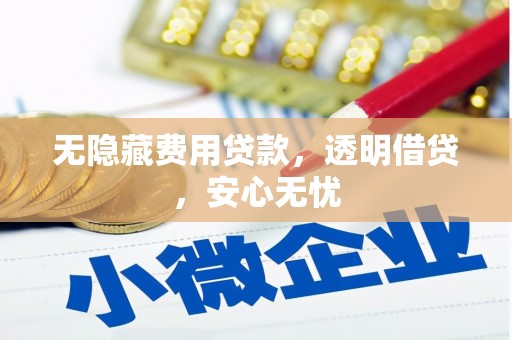 下陆无隐藏费用贷款，透明借贷，安心无忧