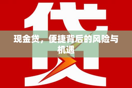 下陆现金贷，便捷背后的风险与机遇