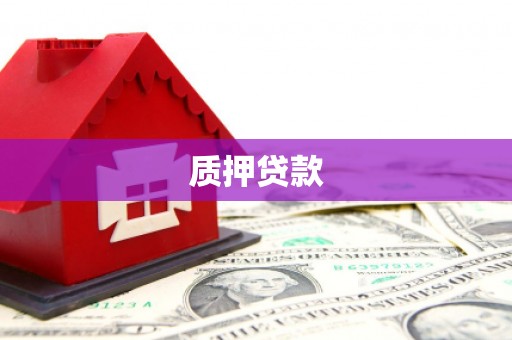 下陆质押贷款