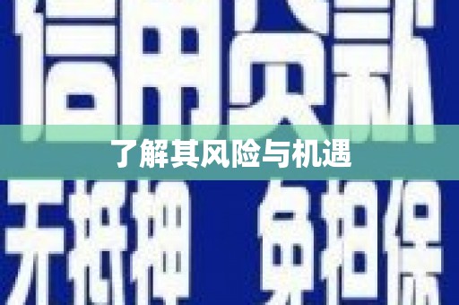 下陆了解其风险与机遇
