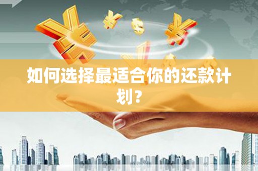 下陆如何选择最适合你的还款计划？
