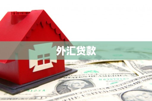 下陆外汇贷款