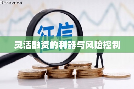 下陆灵活融资的利器与风险控制