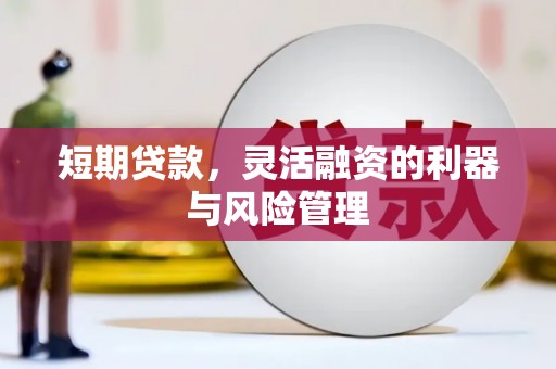 下陆短期贷款，灵活融资的利器与风险管理