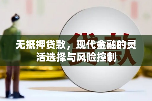 下陆无抵押贷款，现代金融的灵活选择与风险控制