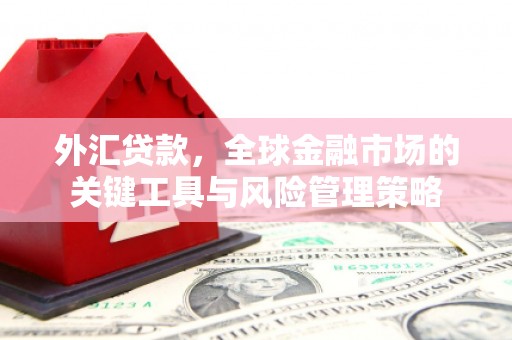 下陆外汇贷款，全球金融市场的关键工具与风险管理策略