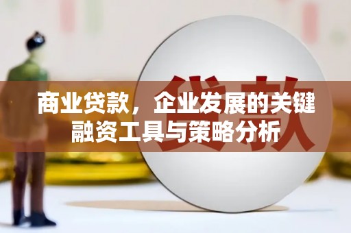 下陆商业贷款，企业发展的关键融资工具与策略分析
