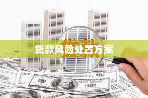 下陆贷款风险处置方案