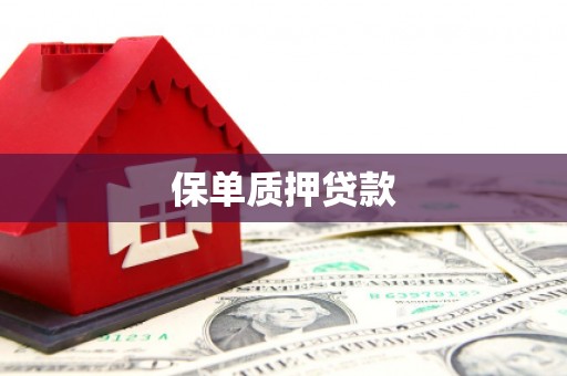 下陆保单质押贷款