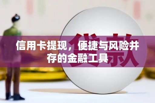 下陆信用卡提现，便捷与风险并存的金融工具
