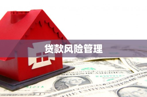 下陆贷款风险管理