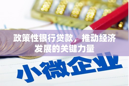 下陆政策性银行贷款，推动经济发展的关键力量