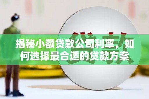 下陆揭秘小额贷款公司利率，如何选择最合适的贷款方案