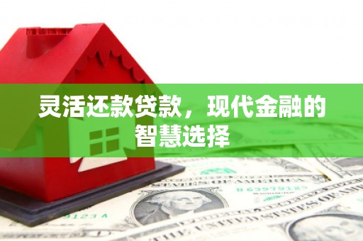 下陆灵活还款贷款，现代金融的智慧选择