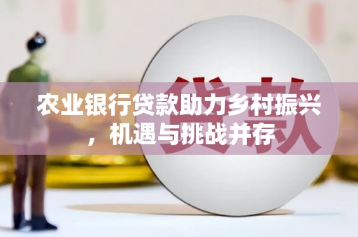 下陆农业银行贷款助力乡村振兴，机遇与挑战并存