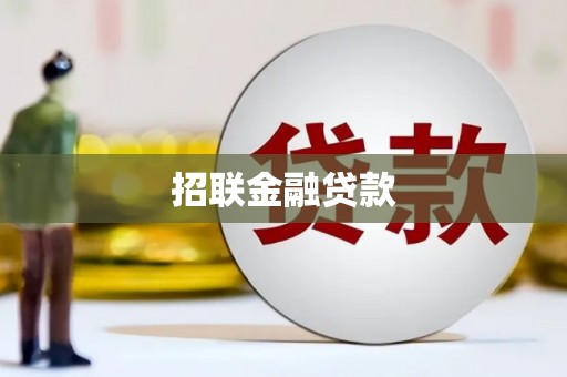 下陆招联金融贷款
