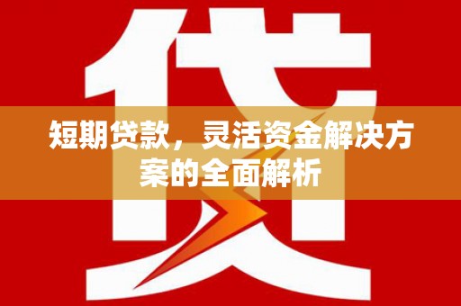 下陆短期贷款，灵活资金解决方案的全面解析