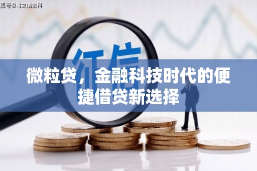 下陆微粒贷，金融科技时代的便捷借贷新选择