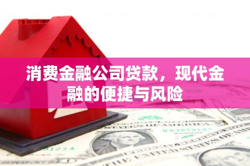 下陆消费金融公司贷款，现代金融的便捷与风险