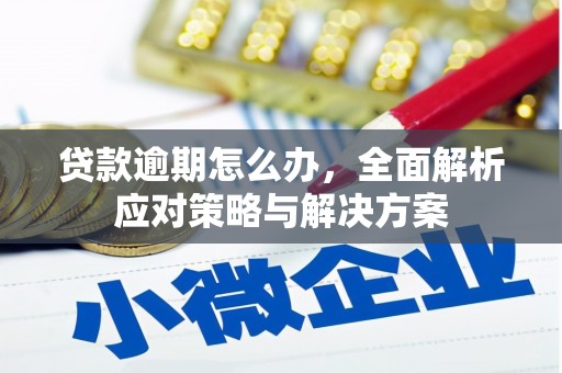 下陆贷款逾期怎么办，全面解析应对策略与解决方案