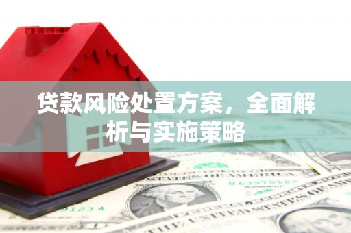 下陆贷款风险处置方案，全面解析与实施策略