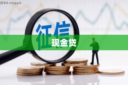 下陆现金贷