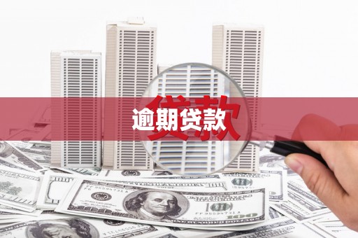 下陆逾期贷款